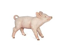 Papo FARMYARD FRIENDS Figurine, 51061 White Goose, Multicolour
