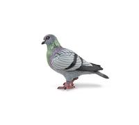 Papo - Realistic Pigeon Figure - Ages 3+ - Garden Animals Collection - Educational Play Urban Birds - Gift Idea Toy for Girls and Boys