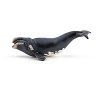 Papo - Realistic Right Whale Figure - Ages 3+ - Marine Life Collection - Educational Play Marine Mammals - Gift Idea Toy for Girls and Boys