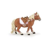 Shetland Pony With Saddle