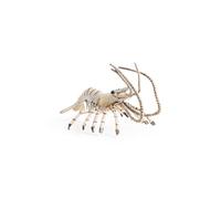 Papo - Realistic Shrimp Figure - Ages 3+ - Marine Life Collection - Educational Play Marine Animals - Gift Idea Toy for Girls and Boys
