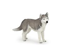 Papo - Realistic Siberian Husky Figure Toy for Kids - Ages 3+ - Dogs And Cats Collection - Educational Play Northern Animals - Gift Idea Toy for Girls and Boys - 11.2 Cm X 2.4 Cm X 6.4 Cm