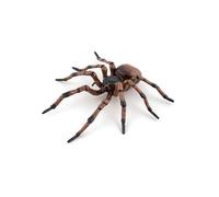 PAPO Wild Life in the Garden Common Spider Toy Figure - 50292