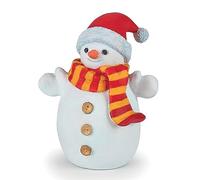 PAPO Snowman