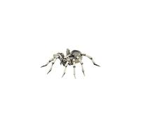 Papo "tarantula" Figure (multi-colour) - Tarantula 50190 Spider 10cm Wild - papo tarantula 50190 spider figure 10 cm wild animals novelty 2016