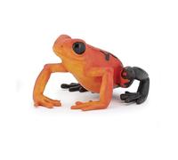 Papo Wild Animal Kingdom Red Equatorial Frog Toy Figure (50193) Papo Multicolor