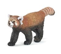 Red panda