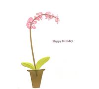 PAPYRUS Conventional Birthday Card, 1 EA
