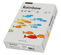 Papyrus Copy Paper Rainbow Gray Colored Paper DIN A4 80g 500 Sheets