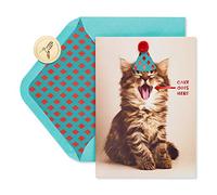 Papyrus Funny Cat Birthday Card (Indulge)