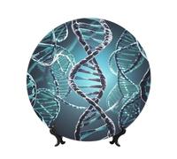 PAQOLSMCKR Bone China Decorative Plate DNA Genetic Helix Ceramic Dinner Plates DNA Genetic Helix Decorative Plates Stand Ceramic Ornament Art Crafts Porcelain Plate for Living Room Kitchen Table Home