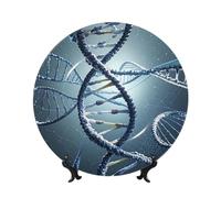 PAQOLSMCKR Bone China Decorative Plate Genetic Helix Ceramic Dinner Plates Genetic Helix Decorative Plates Stand Ceramic Ornament Art Crafts Porcelain Plate for Living Room Kitchen Table Home