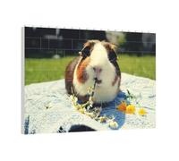 PAQOLSMCKR Building Brick Puzzles Square Guinea Pigs Building Block Puzzle Personalized Photo Block Puzzles Brick Puzzle for Adults Home Decor Gift