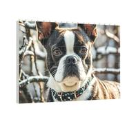 PAQOLSMCKR Building Brick Puzzles Square Lovely Boston Terrier Building Block Puzzle Personalized Photo Block Puzzles Brick Puzzle for Adults Home Decor Gift