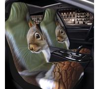PAQOLSMCKR Car Seat Cover 2 Pack Seat Covers for Cars Little Squirrel Seat Protectors Auto Seat Mat with Elastic Strap Waterproof Car Covers Auto Accessories Set of 2