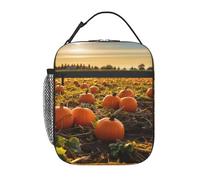PAQOLSMCKR Insulated Lunch Bag Pumpkins on The Ground Lunch Box for Women Men Cooler Bag Lunch Tote Bags for Work Office