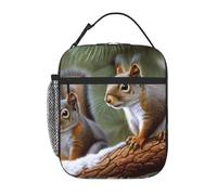 PAQOLSMCKR Lunch Bag for Women Men Portable Insulated Lunch Box Little Squirrel Lunchbox Reusable Tote Bags for Work Picnic