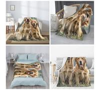 PAQOLSMCKR Throw Blanket 50"x40" Bed Blanket Golden Retrievers Flannel Blankets for Sofa Reversible Plush Rug Soft Cozy Throw Blankets for Couch Camping All Seasons