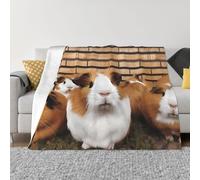 PAQOLSMCKR Throw Blanket 50"x40" Bed Blanket Guinea Pigs Flannel Blankets for Sofa Reversible Plush Blanket Soft Cozy Throw Blankets for Couch Camping All Seasons