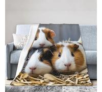 PAQOLSMCKR Throw Blanket 60"x50" Bed Blanket guinea pigs Flannel Blankets for Sofa Reversible Plush Blanket Soft Cozy Throw Blankets for Couch Camping All Seasons
