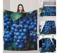 PAQOLSMCKR Throw Blanket Black Grapes Blankets for Sofa Reversible Plush Blanket Soft Cozy Throw Blankets for Couch Camping All Seasons 40"x30"