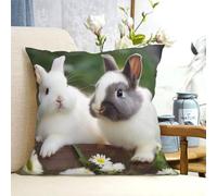 PAQOLSMCKR Throw Pillow Covers 18"x18" Decorative Throw Pillows Two Little Cute Rabbits Pillow Cover Square Cushion Case Plush Pillow Cases for Living Room Cushion Cover