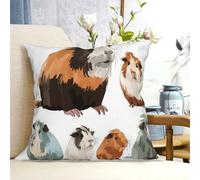 PAQOLSMCKR Throw Pillow Covers 20"x20" Decorative Throw Pillows Guinea Pig Illustration Pillow Cover Square Cushion Case Plush Pillow Cases for Living Room Cushion Cover