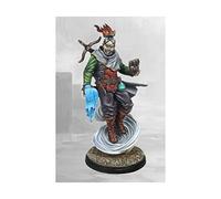 Para Bellum Wargames Conquest: Hundred Kingdoms - Null Mage