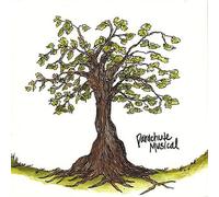 PARACHUTE MUSICAL - Everything Is Working Out Fine in Some Town