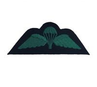 Parachutist -Qualification- Royal Irish Regiment - Prince of Wales Division, Infantry- British Army Badge