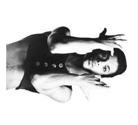 Parade (Under the Cherry Moon) by Prince (2008-01-13)