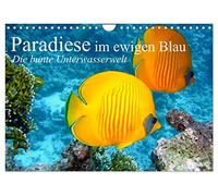 Paradiese im ewigen Blau. Die bunte Unterwasserwelt (Wandkalender 2023 DIN A4 quer): Das bunte Treiben der schönen Lebewesen unter Wasser (Monatskalender, 14 Seiten) (CALVENDO Tiere)