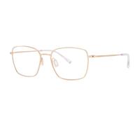 Paradigm Hunter Men's Glasses, Gold, Size 53