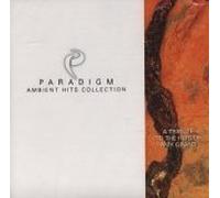 Paradigm - Paradigm Ambient Hits Collection - A Tribute to the Hits of Amy Grant (UK