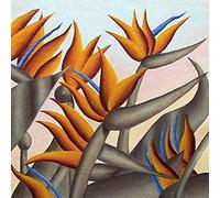 Paradise Club - Paradise Club [VINYL]