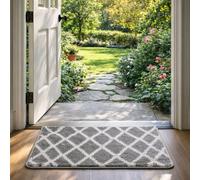 Paradise Door Mat - Soft, Machine Washable Dirt Trapper Rug - Rubber Backed Floor Mat -Heavy Duty Non Slip Doormats, Super Absorbent Front Door Mat, Entrance Rug (Grey, 50x80)