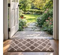 Paradise Door Mat - Soft, Machine Washable Dirt Trapper Rug - Rubber Backed Floor Mat -Heavy Duty Non Slip Doormats, Super Absorbent Front Door Mat, Entrance Rug (Brown, 50x80)