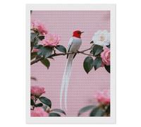 Paradise Flycatcher on Camellia 5D Diamond Painting Kit for Adults - DIY Diamond Art Kits with Drill Tools Full Round Drill Gem Painting for Home Wall Decor, Beginner-Friendly Craft Set Gift 12x16