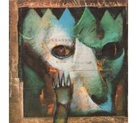 Paradise Lost - Shades of God [VINYL]