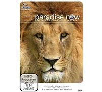 Paradise Now Teil 7