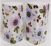 Paradise Salt & Pepper Set Ceramic Porcelain Rectangular Square Blue & Pink Daisy & Silver Mica Details Cruet Pots Hand Decorated UK