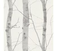 Erismann 6305-10 "Paradiso Collection" Non-Woven Wallpaper, Multi-Colour, 10.05 x 0.53 m
