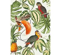Paradisio Wallpaper Parrot Toucan Tropical Exotic Trees Flower Vinyl YöL