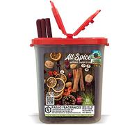 Parag Fragrances All Spices Premium Dhoop Sticks 100gm Monthly Pack (No Charcoal, No Bamboo, Hand Crafted, Long Lasting Dhoop Sticks) Dhoop Sticks for Prayer