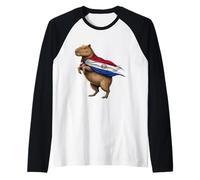 Paraguay Flag Capybara Paraguayan Pride Raglan Baseball Tee
