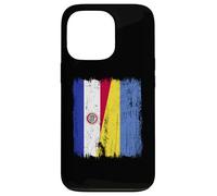 Paraguay Ukraine Half Flag Paraguayan Ukrainian Heritage Case for iPhone 13 Pro