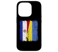 Paraguay Ukraine Half Flag Paraguayan Ukrainian Heritage Case for iPhone 14 Pro