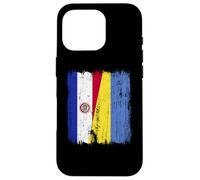 Paraguay Ukraine Half Flag Paraguayan Ukrainian Heritage Case for iPhone 16 Pro