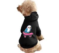 Parakeet Bird Skater Skateboard Dog Clothes Short Sleeve Pet Hoodie Cute Cat Costume Jacket Tee for Small Dogs XS