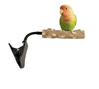 Parakeet Perches,Roosting Interactive Toys - Bird Standing Perches Training Toys,for Budgerigar Lovebirds Conure Cockatoo Indoor Outdoor Garden Yard Home Nest